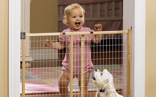 Shop Baby Gates Image